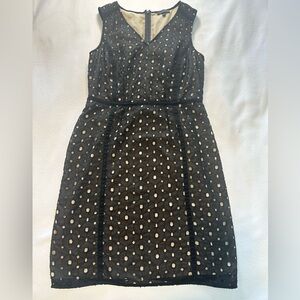 The Limited Black and Cream Textured Dress